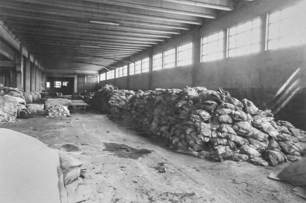 leonica-conceria-lonigo-vicenza-storia-1